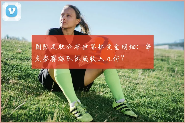 国际足联公布世界杯奖金明细：每支参赛球队保底收入几何？
