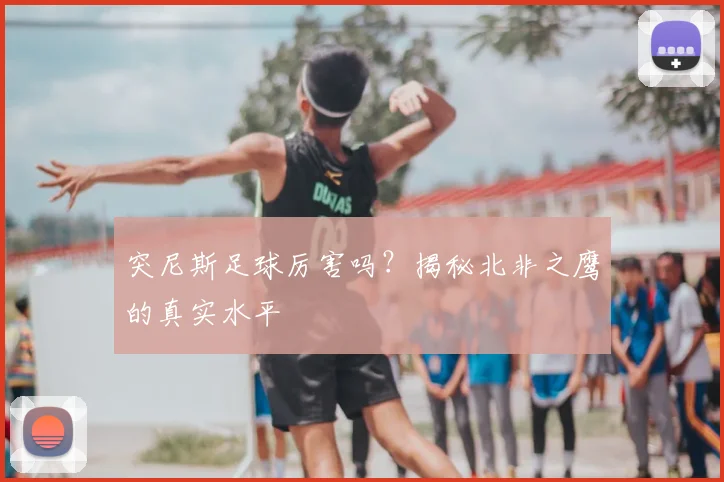 突尼斯足球厉害吗？揭秘北非之鹰的真实水平