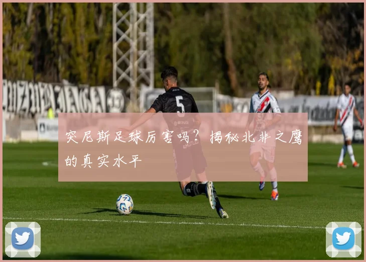 突尼斯足球厉害吗？揭秘北非之鹰的真实水平